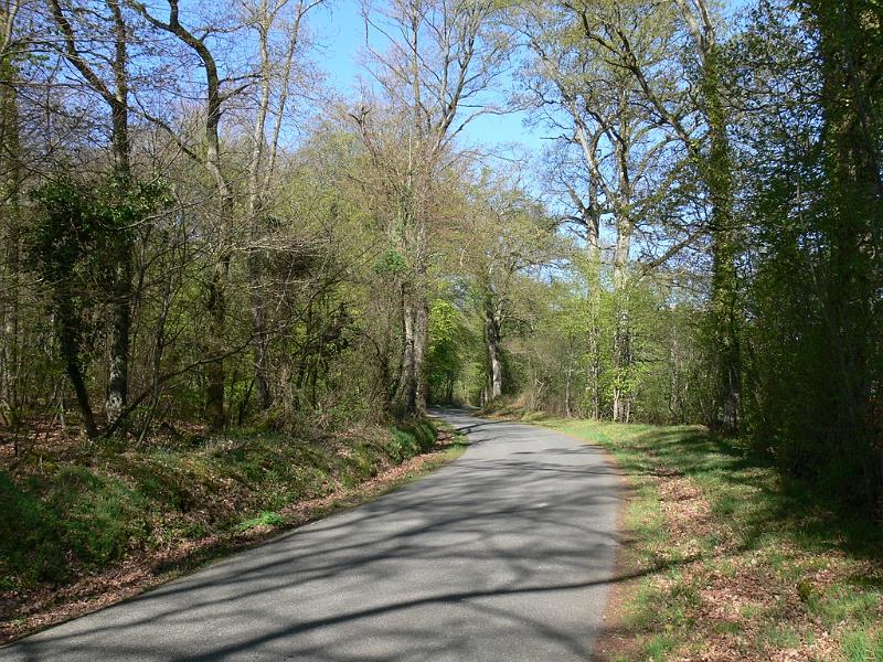 Mont Saint Michel 2010 - 166.jpg